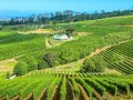 Vastes vignobles verdoyants s'étendant sur des collines ondulantes, avec une maison blanche au toit vert au centre. Un paysage idyllique pour la production de vins d'Afrique du Sud.
