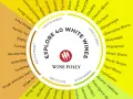 Roue des vins blancs : explorez 40 variétés, du vin blanc minéral comme le Muscadet au doux Tokaji.