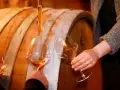 Dégustation de vins dans une cave, avec un pipete versant le liquide ambré dans des verres. Un tableau des millésimes vins se dessine.