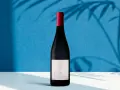 Bouteille de Pinot Noir Chavin Zero, le meilleur vin sans alcool, sur fond bleu avec des ombres de feuilles.