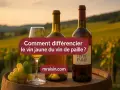 Bouteilles de vin, verre et grappe de raisin sur un tonneau, avec un vignoble en arrière-plan. Le texte demande "Comment différencier le vin jaune du vin de paille ?".