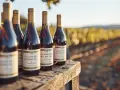 Bouteilles de Châteauneuf-du-Pape sur une table en bois, avec un vignoble en arrière-plan.