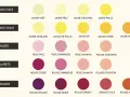 Tableau comparatif des nuances de couleur vin, du jaune-vert au rouge ambré, classées par type de vin : blancs secs, doux, rosés, clarets et rouges.