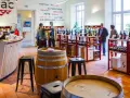 Dans une cave à vin, des clients dégustent du vin du Tarn. Des étagères chargées de bouteilles et des tonneaux en bois complètent le décor.
