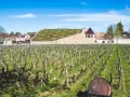 Vignes de Nuits-Saint-Georges sous un ciel bleu. Au fond, un bâtiment moderne avec un toit végétalisé, possiblement le meilleur domaine nuit saint-georges.