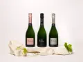 Trois bouteilles de champagne Ayala, dont une rosé, présentées sur des pierres. Avis sur le champagne Ayala.