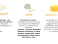 Quel vin avec le fromage ? Le Camembert s'accorde avec un vin rouge léger, le Chèvre avec un blanc sec, et l'Emmental avec un blanc aux notes de noisette.