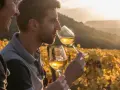 Un homme et une femme dégustent un vin jaune du Jura au coucher du soleil, dans un vignoble aux couleurs d'automne.