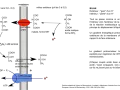 Schéma illustrant la fermentation malolactique, où le malate est converti en lactate par une perméase, générant un gradient de protons utilisé par l'ATP synthase.