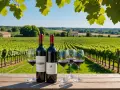 Dégustation de vin rouge sur une table en bois, avec des vignes à perte de vue. Un paysage typique de la côte de blaye sous un ciel bleu.