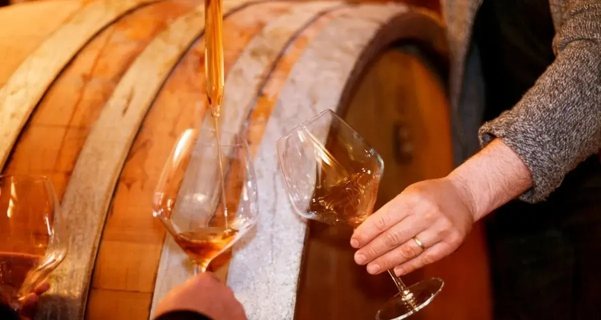 Dégustation de vins dans une cave, avec un pipete versant le liquide ambré dans des verres. Un tableau des millésimes vins se dessine.