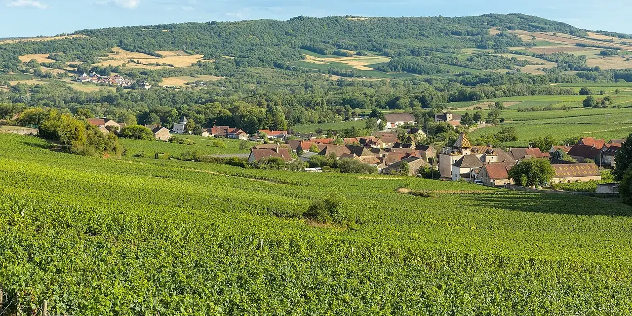 Paysage de vignoble verdoyant menant à un village pittoresque, évoquant la quiétude d'une journée chez Jean-Marc Vincent.