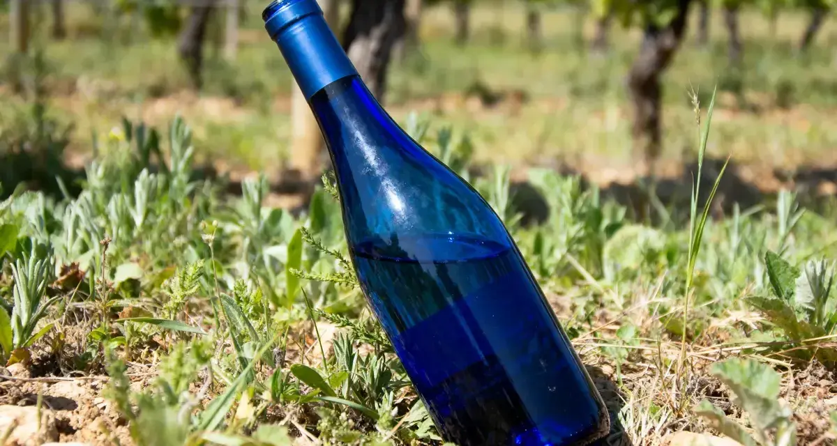 Bouteille de vin bleu posée dans l'herbe d'un vignoble ensoleillé.