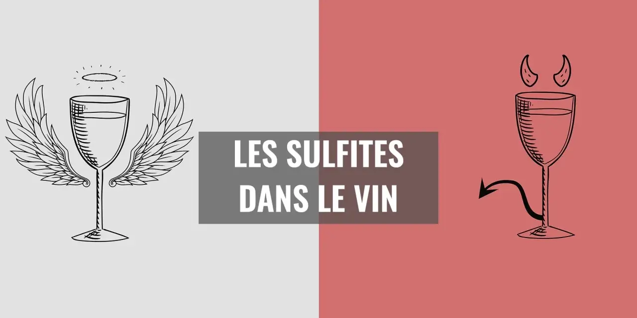 Verre de vin ailé et diabolique, symbolisant les sulfites dans le vin. Le bon et le mauvais côté de cette substance.