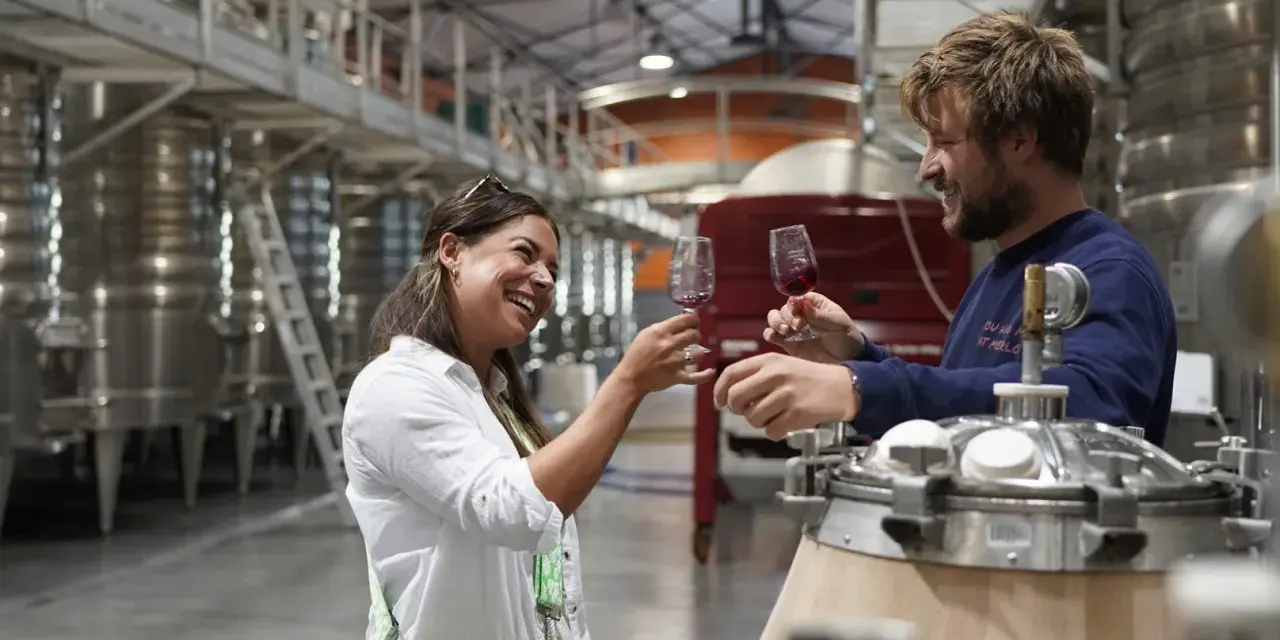 Un homme et une femme trinquent avec des verres de vin rouge dans une cave, savourant les meilleurs vins du Roussillon.