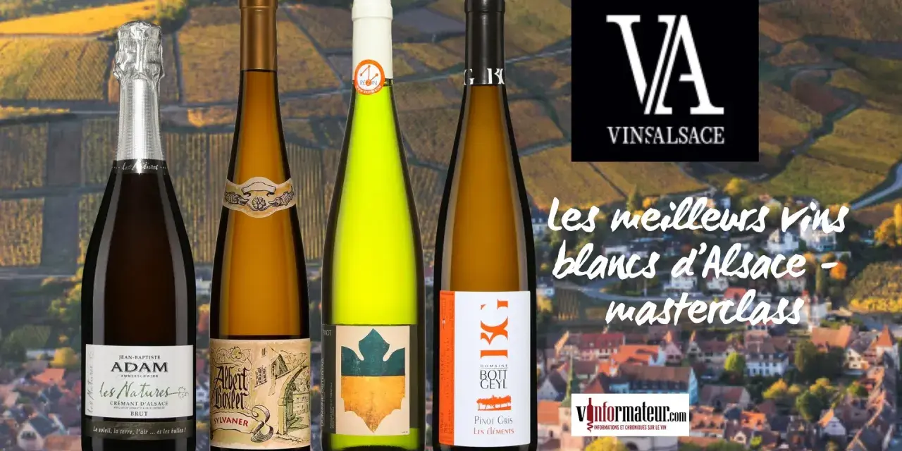 Quatre bouteilles de vin d'Alsace, dont un meilleur pinot gris, sur fond de vignobles.