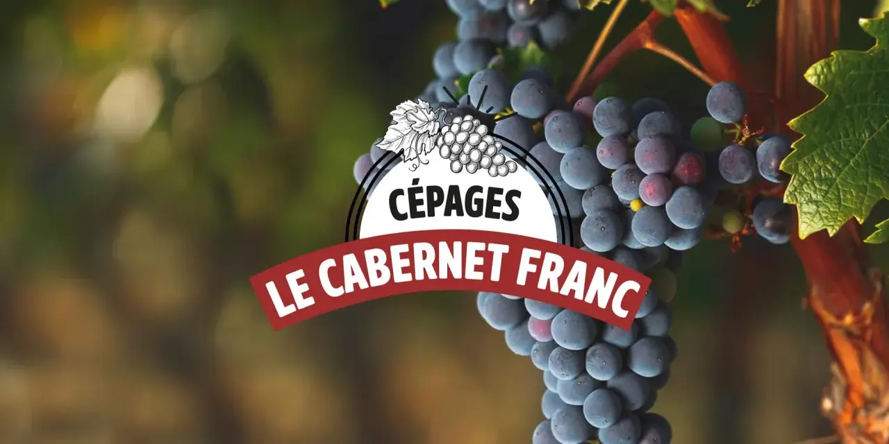 Grappes de vin cabernet franc mûres sur la vigne, avec un logo "Cépages Le Cabernet Franc".