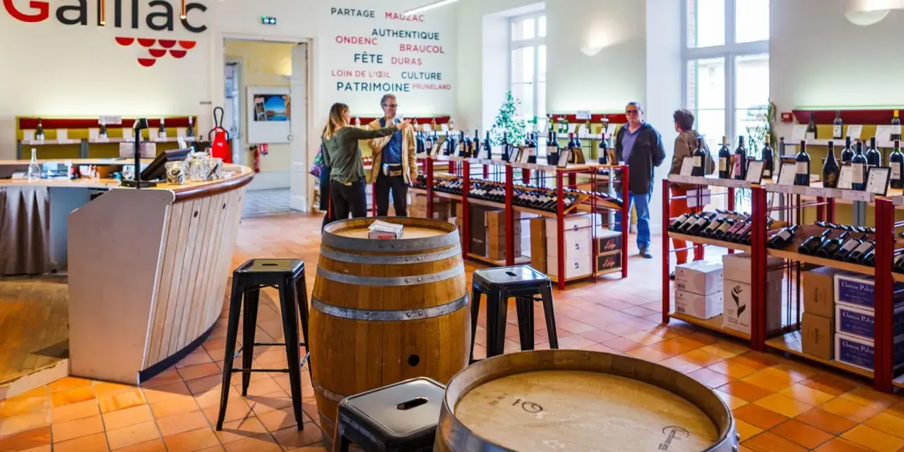 Dans une cave à vin, des clients dégustent du vin du Tarn. Des étagères chargées de bouteilles et des tonneaux en bois complètent le décor.