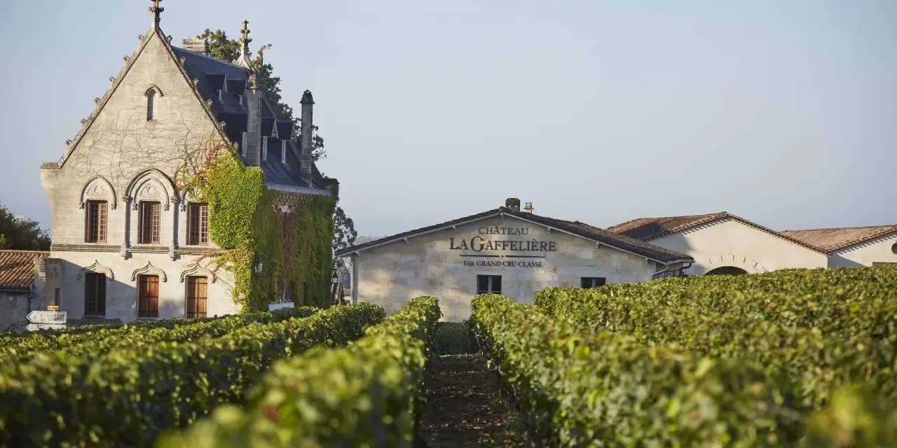 Vignoble verdoyant devant le château La Gaffelière, un bâtiment de pierre couvert de lierre. Le nom du domaine est inscrit sur une autre bâtisse.
