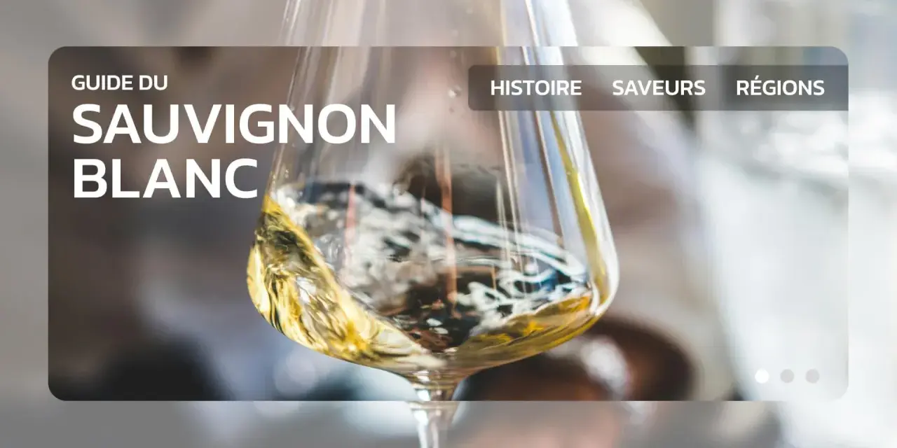 Un verre de vin blanc, un guide du sauvignon blanc, avec des options pour l'histoire, les saveurs et les régions.