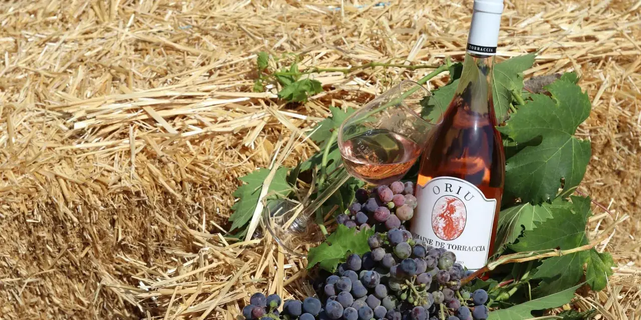 Bouteille de rosé et grappes de raisin sur fond de paille. Le domaine de Torraccia, un vin de qualité.