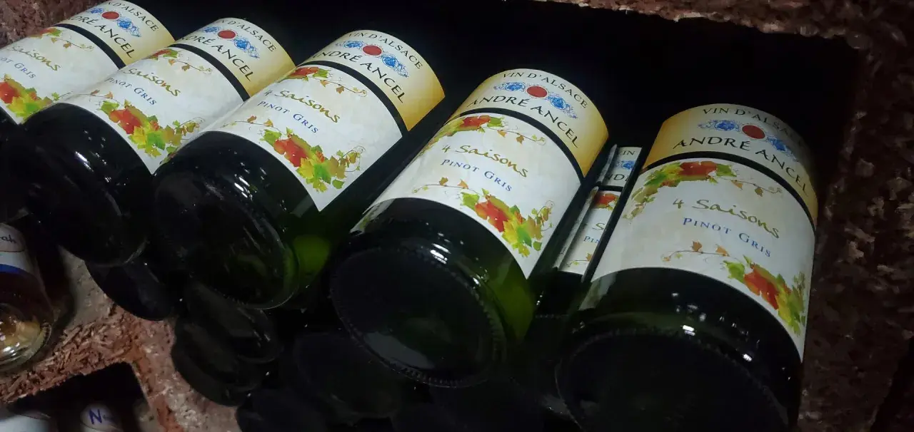 Bouteilles de vin d'Alsace "4 Saisons Pinot Gris" d'André Ancel, prêtes à être dégustées. Un quart de vin pour chaque saison.