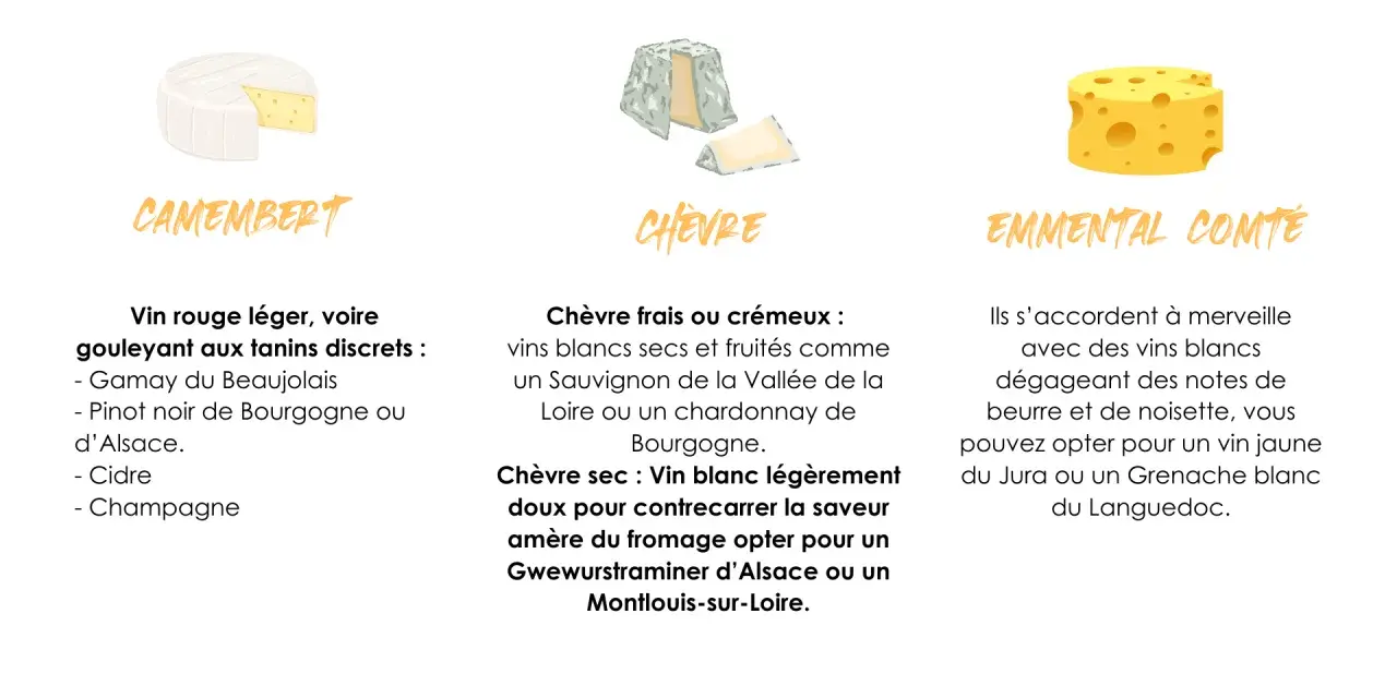 Quel vin avec le fromage ? Le Camembert s'accorde avec un vin rouge léger, le Chèvre avec un blanc sec, et l'Emmental avec un blanc aux notes de noisette.