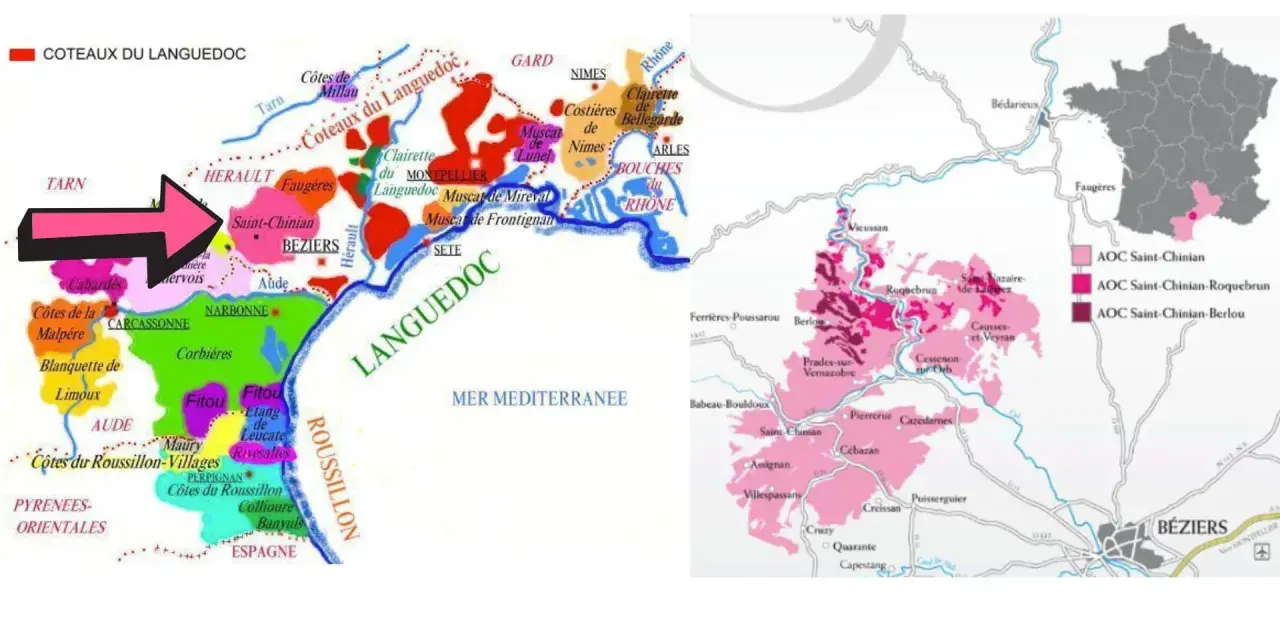 Carte des vins du Languedoc, avec une flèche rose pointant vers la zone de Saint-Chinian, connue pour son cépage.