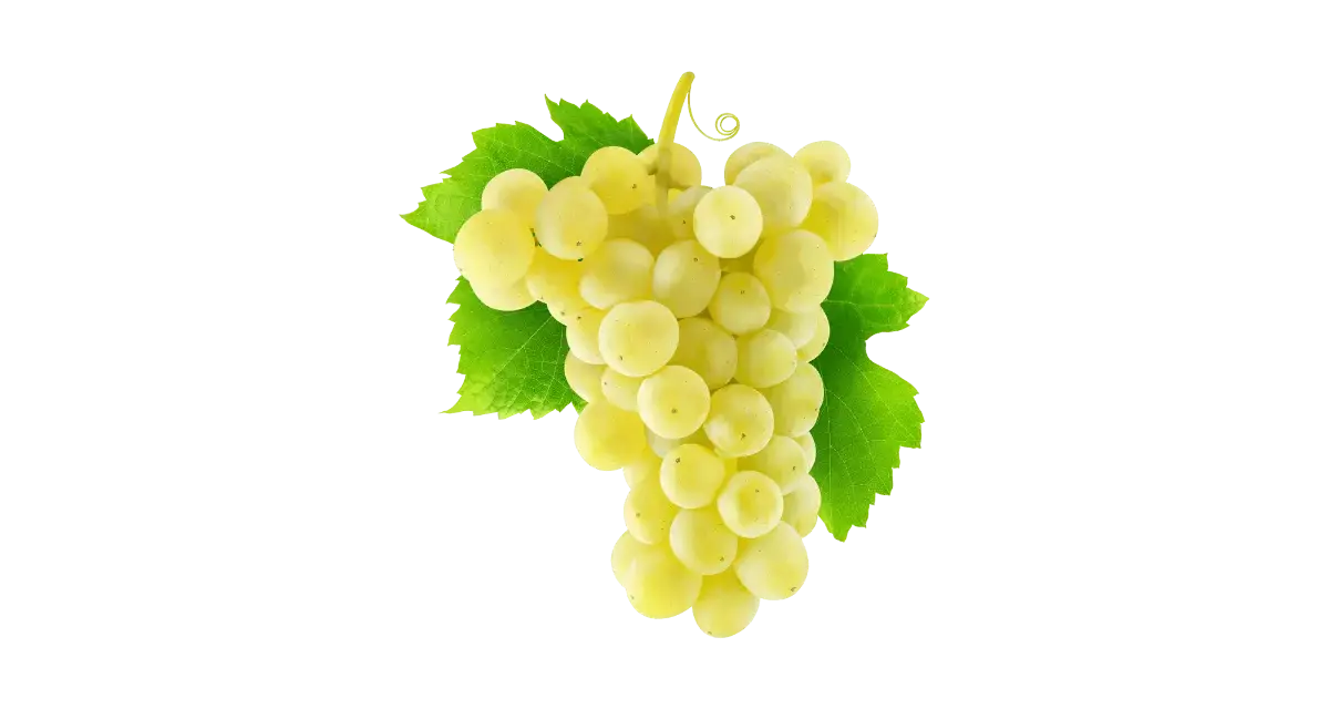 Grappe de raisins blancs, évoquant la douceur du chenin, avec des feuilles vertes vives sur fond uni.