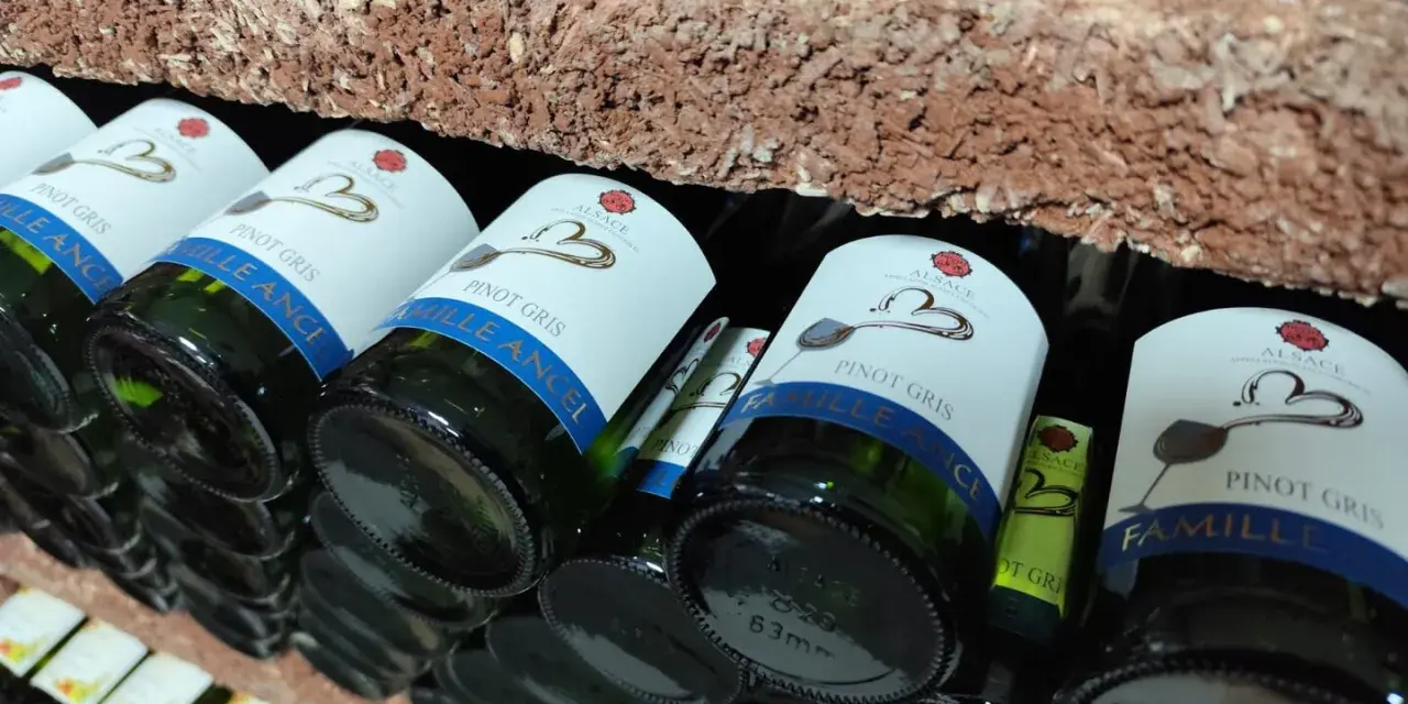 Bouteilles de cépage Pinot Gris d'Alsace, étiquetées "Famille Ancel", rangées sur une étagère en briques.