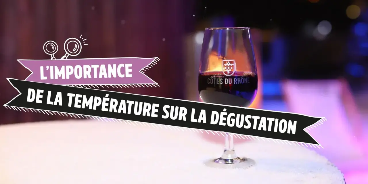 Verre de vin Cotes du Rhone sur une table enneigée, illustrant l'importance de la température sur la dégustation.