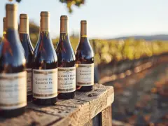 Bouteilles de Châteauneuf-du-Pape sur une table en bois, avec un vignoble en arrière-plan.