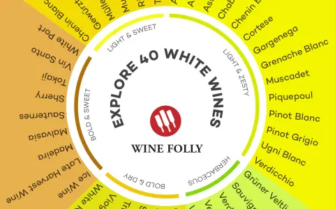 Roue des vins blancs : explorez 40 variétés, du vin blanc minéral comme le Muscadet au doux Tokaji.
