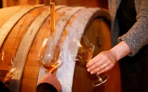Dégustation de vins dans une cave, avec un pipete versant le liquide ambré dans des verres. Un tableau des millésimes vins se dessine.