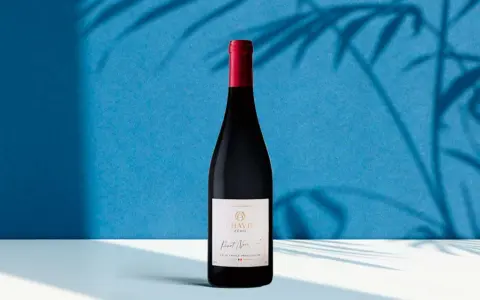 Bouteille de Pinot Noir Chavin Zero, le meilleur vin sans alcool, sur fond bleu avec des ombres de feuilles.