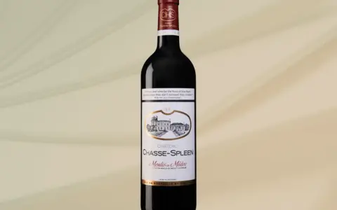 Bouteille de vin rouge Château Chasse-Spleen, évoquant les meilleures années de dégustation.