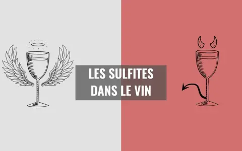 Verre de vin ailé et diabolique, symbolisant les sulfites dans le vin. Le bon et le mauvais côté de cette substance.