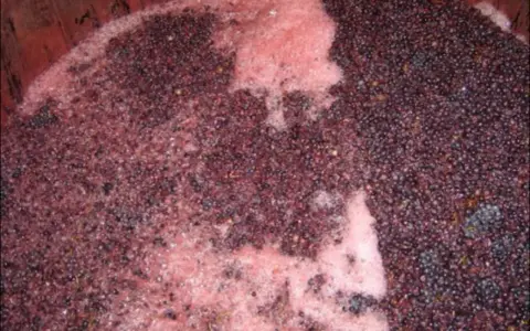 Cuve de vinification avec marc de raisin et mousse rose, signe de la levure indigène vin en pleine fermentation.