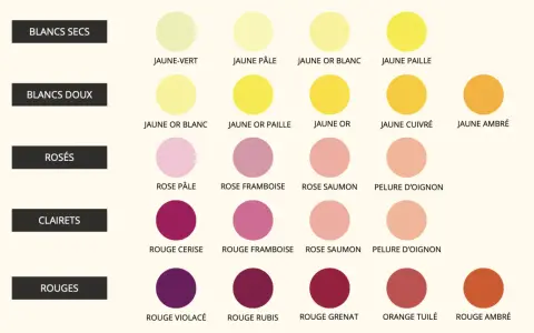 Tableau comparatif des nuances de couleur vin, du jaune-vert au rouge ambré, classées par type de vin : blancs secs, doux, rosés, clarets et rouges.