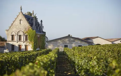 Vignoble verdoyant devant le château La Gaffelière, un bâtiment de pierre couvert de lierre. Le nom du domaine est inscrit sur une autre bâtisse.