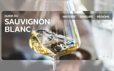 Un verre de vin blanc, un guide du sauvignon blanc, avec des options pour l'histoire, les saveurs et les régions.