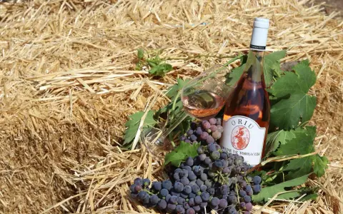 Bouteille de rosé et grappes de raisin sur fond de paille. Le domaine de Torraccia, un vin de qualité.