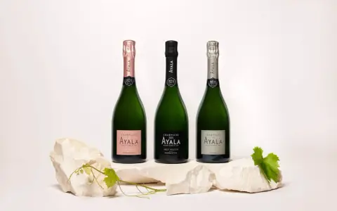 Trois bouteilles de champagne Ayala, dont une rosé, présentées sur des pierres. Avis sur le champagne Ayala.