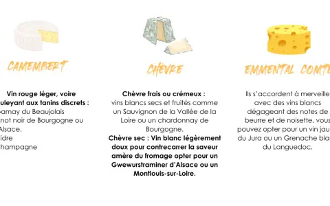 Quel vin avec le fromage ? Le Camembert s'accorde avec un vin rouge léger, le Chèvre avec un blanc sec, et l'Emmental avec un blanc aux notes de noisette.