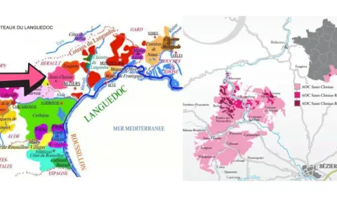 Carte des vins du Languedoc, avec une flèche rose pointant vers la zone de Saint-Chinian, connue pour son cépage.