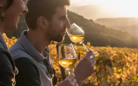 Un homme et une femme dégustent un vin jaune du Jura au coucher du soleil, dans un vignoble aux couleurs d'automne.