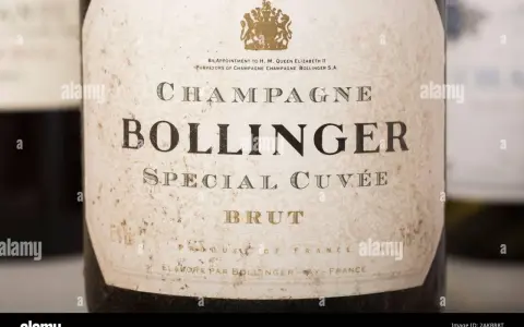Bouteille de Champagne Bollinger Special Cuvée Brut, un grand cru qui aurait plu à Charles Armand de Belenet.