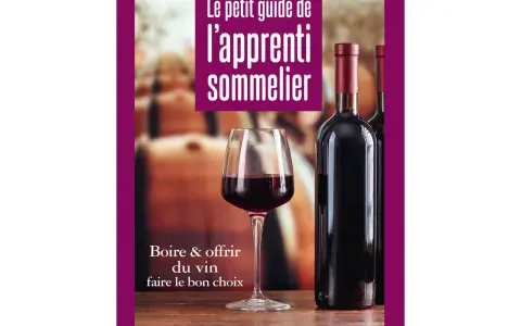 Un verre de vin rouge et des bouteilles, pour apprendre à choisir le meilleur vin rouge. Le petit guide de l'apprenti sommelier.