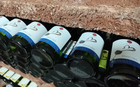 Bouteilles de cépage Pinot Gris d'Alsace, étiquetées "Famille Ancel", rangées sur une étagère en briques.