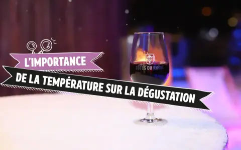Verre de vin Cotes du Rhone sur une table enneigée, illustrant l'importance de la température sur la dégustation.